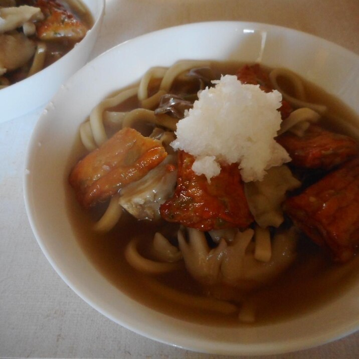 さつま揚げとマイタケの冷やしおろしうどん